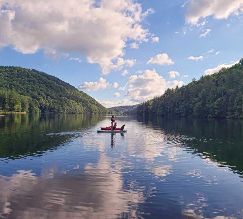 paddle board and dog on the lake